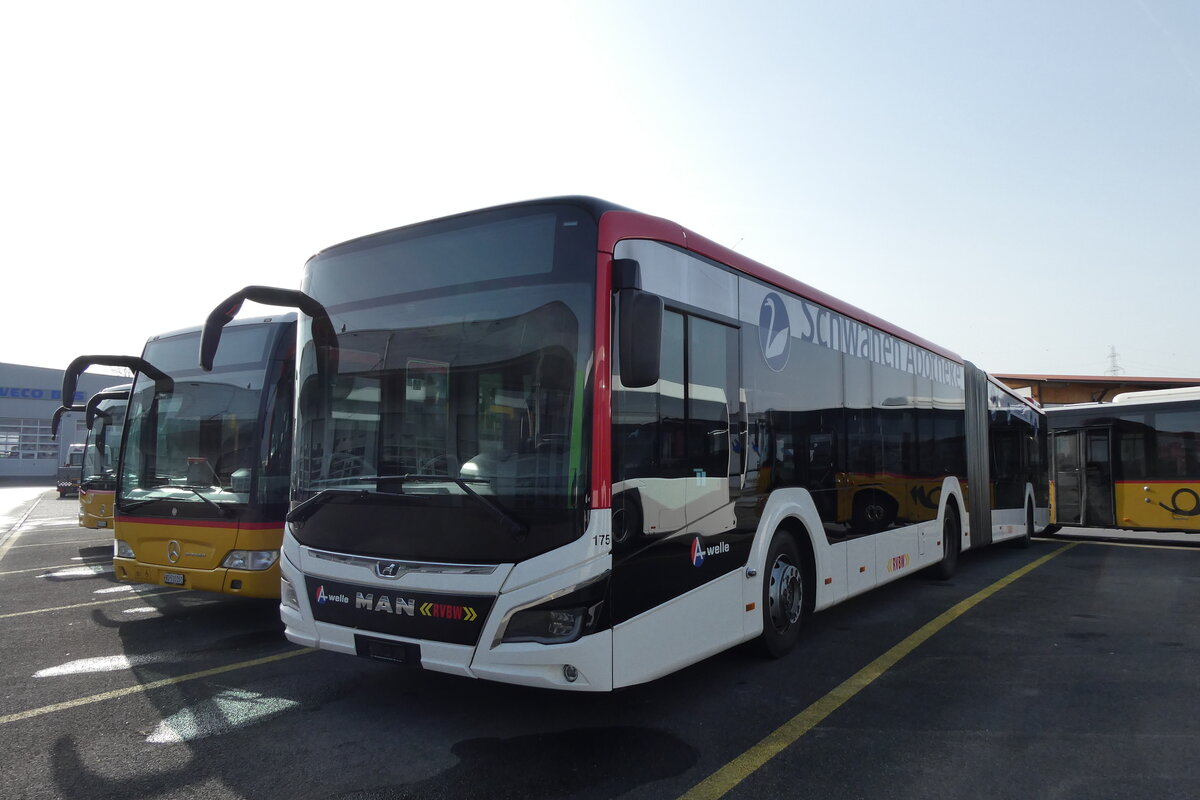 (285'286) - RVBW Wettingen - Nr. 175 - MAN (ex AHW Horgen Nr. 611) am 7. M�rz 2026 in Kerzers, Interbus