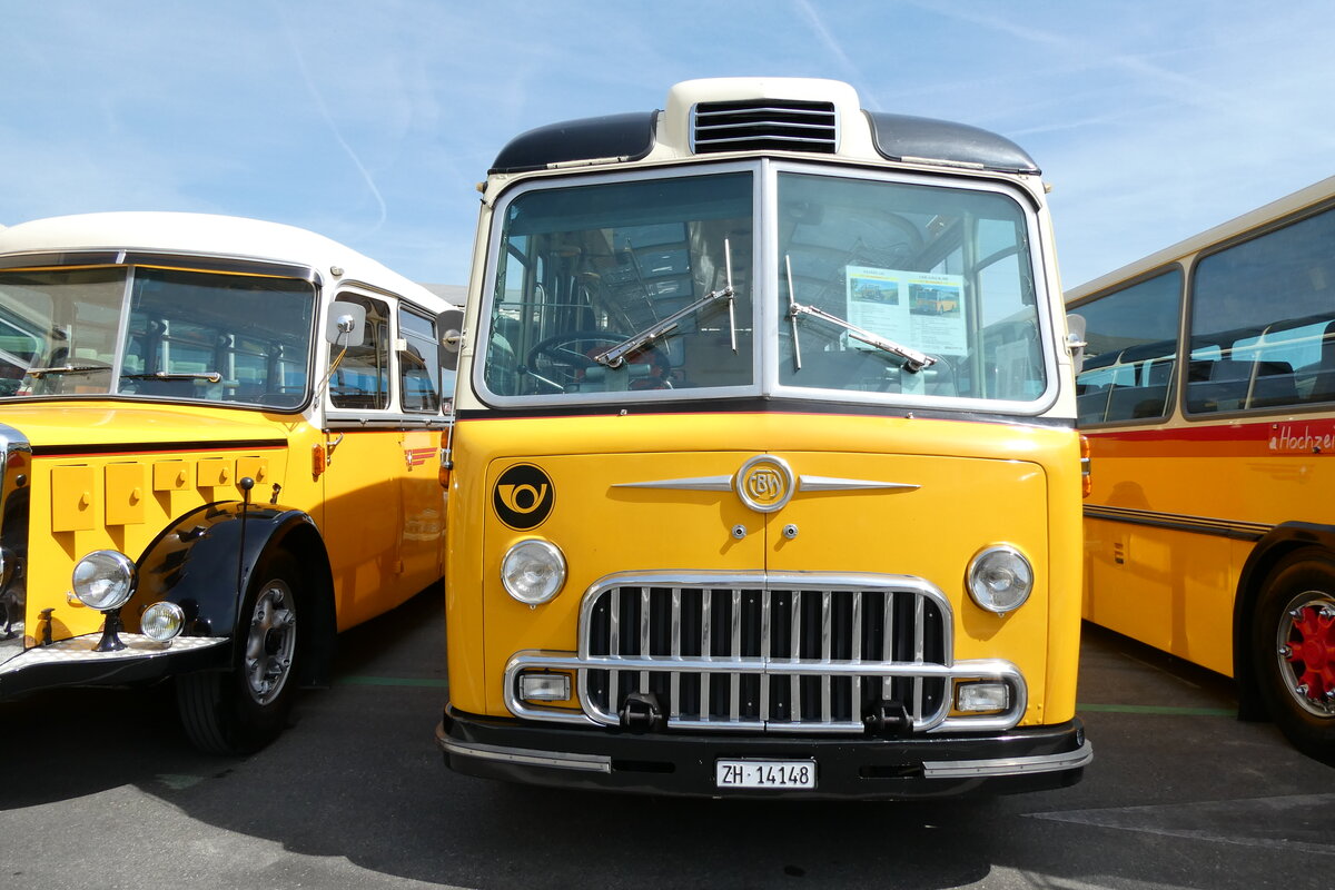 (286'622) - Goldexpress, Ossingen - ZH 14'148 - FBW/Lauber (ex P 24'069; ex P 21'569) am 2. Mai 2026 in Attikon, Wegm�ller