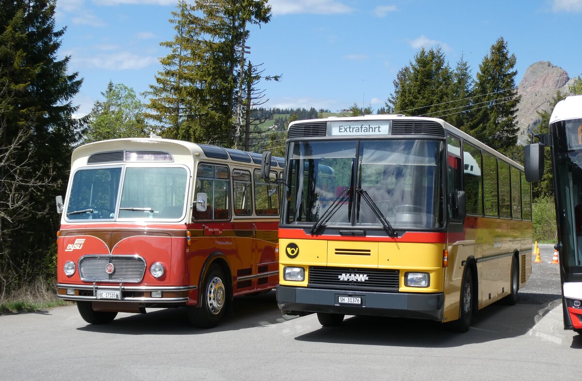 (286'898) - Ruklic, Schaffhausen - SH 31'376 - NAW/Hess (ex AVG Meiringen Nr. 68/PID 964; ex P 24'454) am 9. Mai 2026 in Ibergeregg, Passh�he