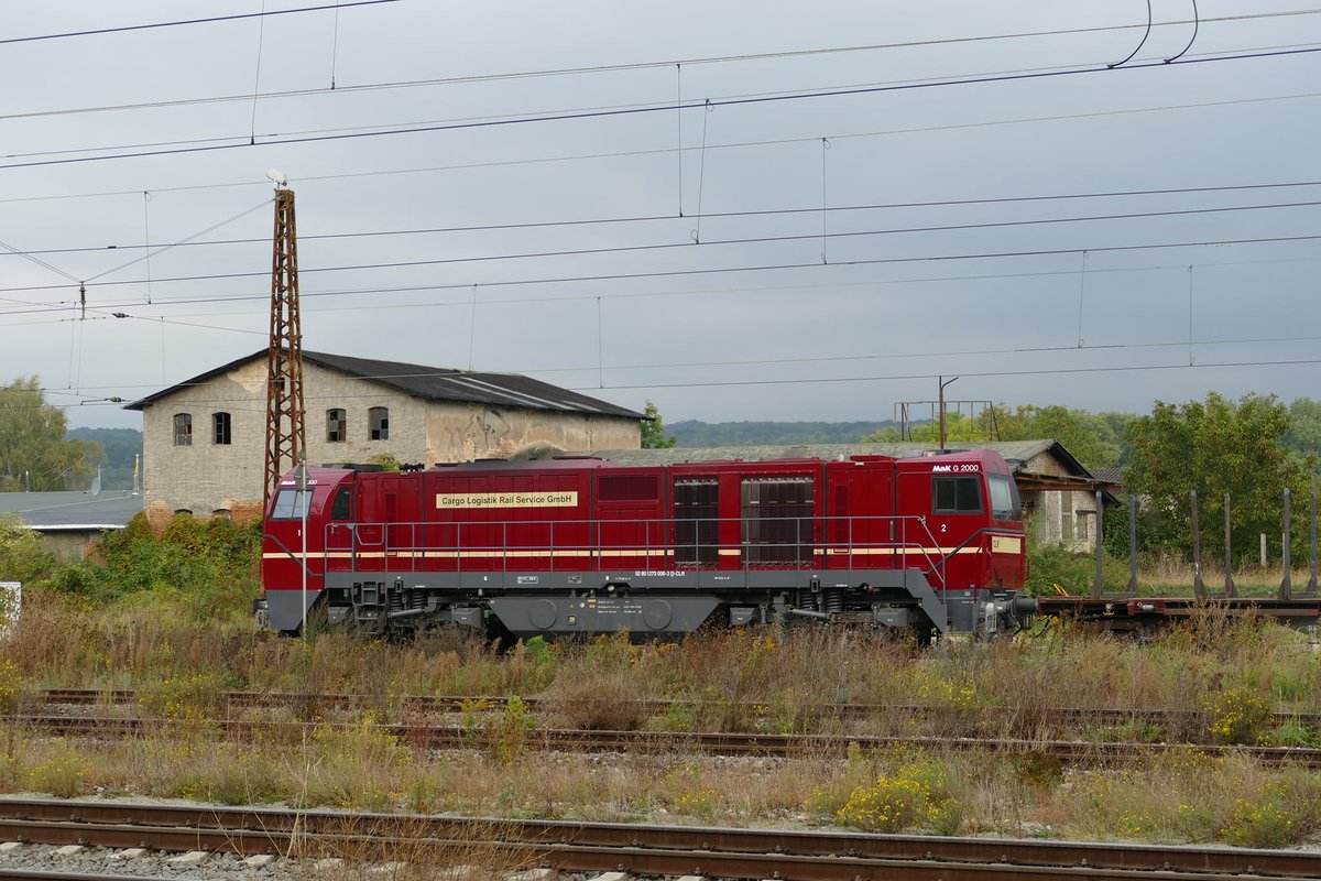 Am 10.10.2020 pausierte die CLR 273 008-3 mit leeren Holzwagen in Naumburg Hbf. (Foto: Wolfgang Krolop)