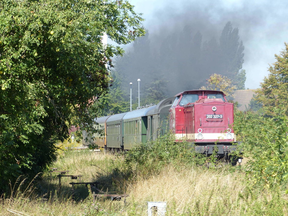 CLR 202 327-3 mit dem DLr 24448 von Freyburg nach Karsdorf, am 08.09.2018 bei der Ausfahrt in Laucha.