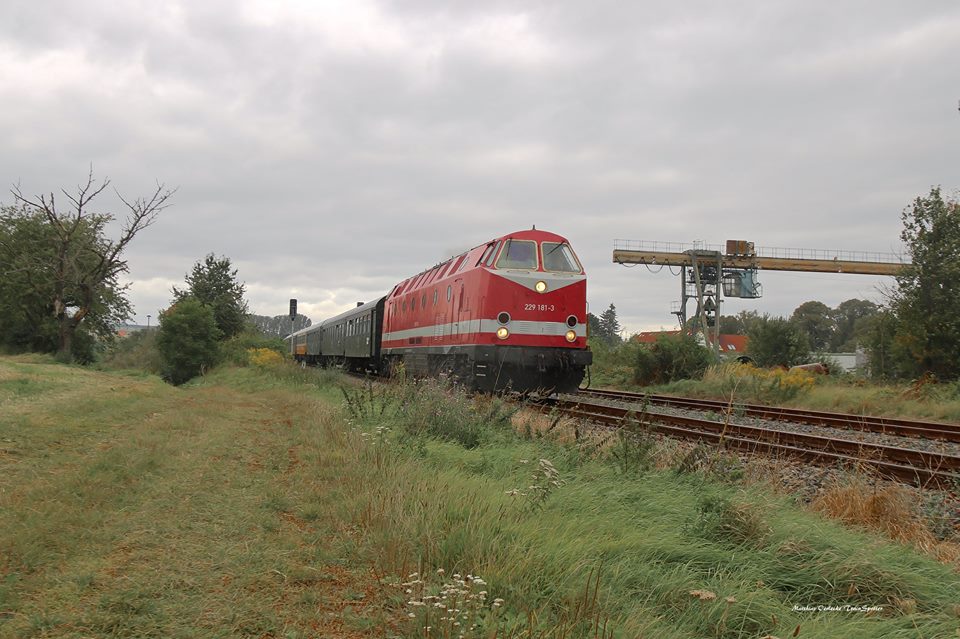 CLR 229 181-3 mit dem DLr 24886 nach Naumburg Hbf, am 09.09.2017 bei der Ausfahrt in Laucha. (Foto: Matthias Oerlecke)
