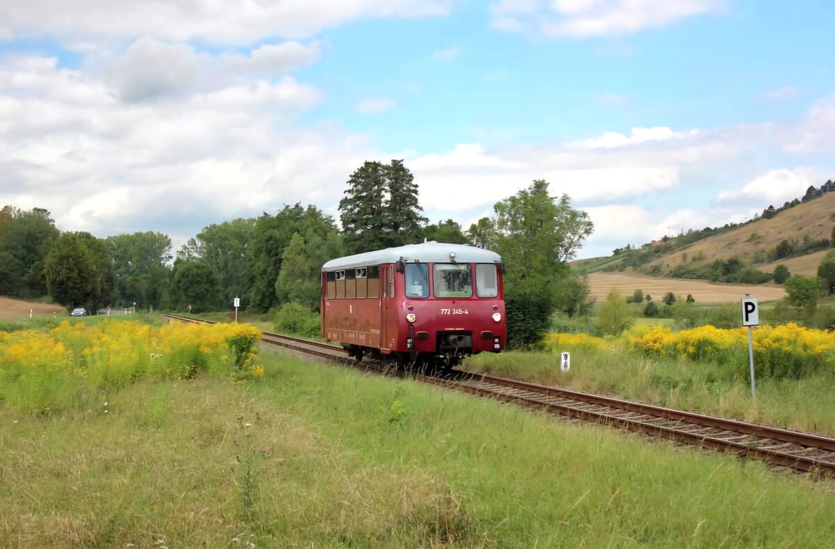 Das EBS  Ferkeltaxi  772 345-4 war am 16.08.2024 auf der Unstrutbahn bei Balgstädt von Karsdorf unterwegs nach Erfurt. Am Tag darauf fand von dort aus eine Sonderfahrt zum 150. Geburtstag der Pfefferminzbahn nach Sömmerda statt. (Foto: Wolfgang Krolop)