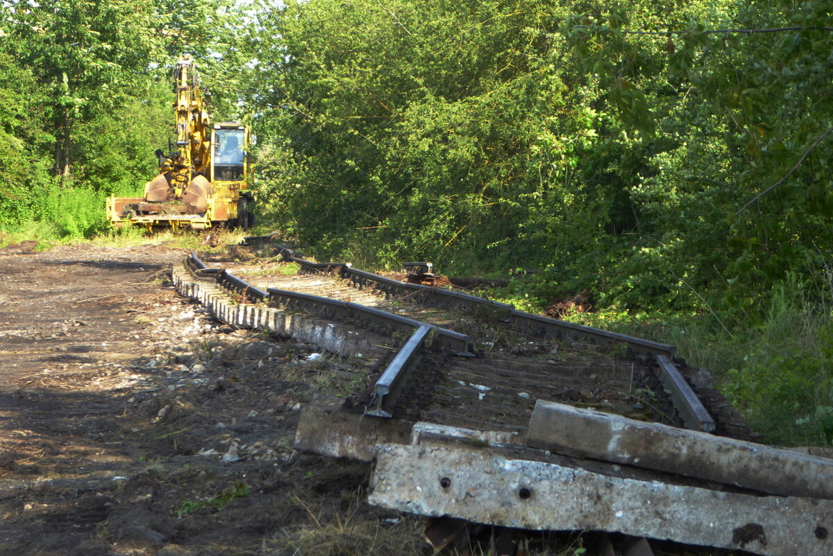 Das Gleisbett vom leider abgerissenen ehem. Ladegleis im Bahnhof Laucha, am 22.07.2021. (Foto: Günther Göbel)