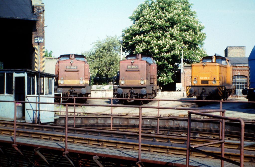 DB 201 171-6 + 201 059-3 + 346 219-9 am 12.05.1994 im Bw Naumburg. (Foto: Roland Reimer)