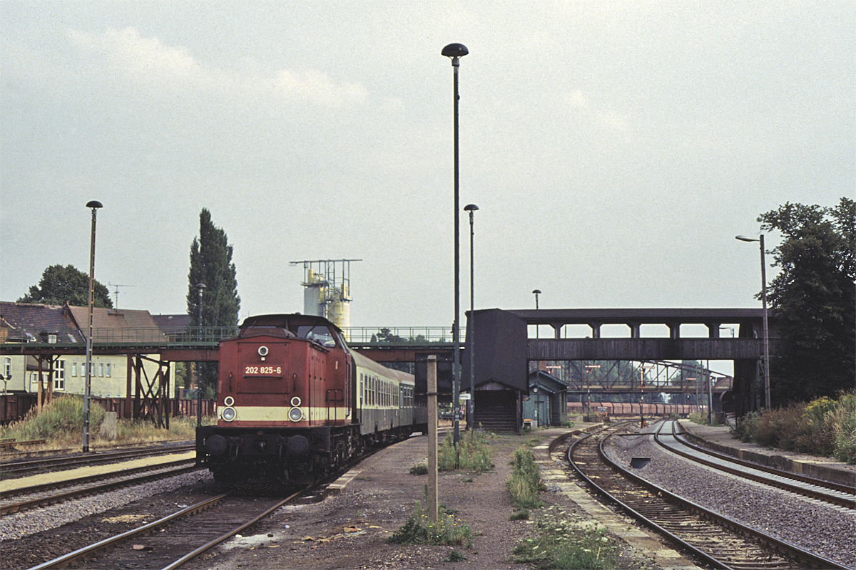 DB 202 825-6 vermutlich mit einem Personenzug Richtung Großkortbetha, am 26.08.1993 in Deuben. (Foto: der Schreier)