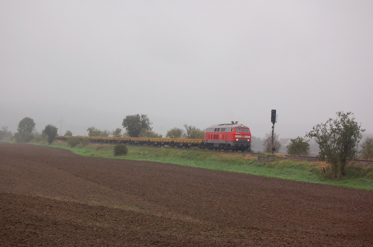 DB Services Südost 218 208-7 mit Flachwagen vom Fahrzeugwerk Karsdorf Richtung Naumburg, am 13.09.2014 bei Kleinjena. (Foto: dampflok015)