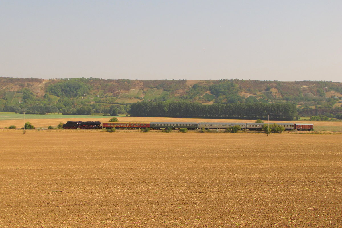 Die 50 3648-8 vom Sächsischen Eisenbahnmuseum mit dem Winzerfestsonderzug DPE 61485 aus Chemnitz Hbf, am 10.09.2016 bei Laucha auf der Fahrt in die Abstellung nach Karsdorf.