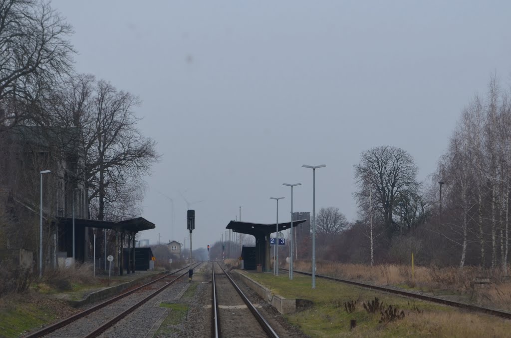 Die Bahnsteige in Teuchern am 03.01.2016. (Foto: EC Vindobona)