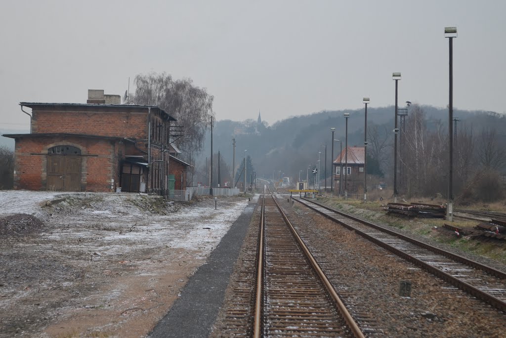 Die Gleisanlagen im ehem. Bf Vitzenburg am 03.01.2016. (Foto: EC Vindobona)