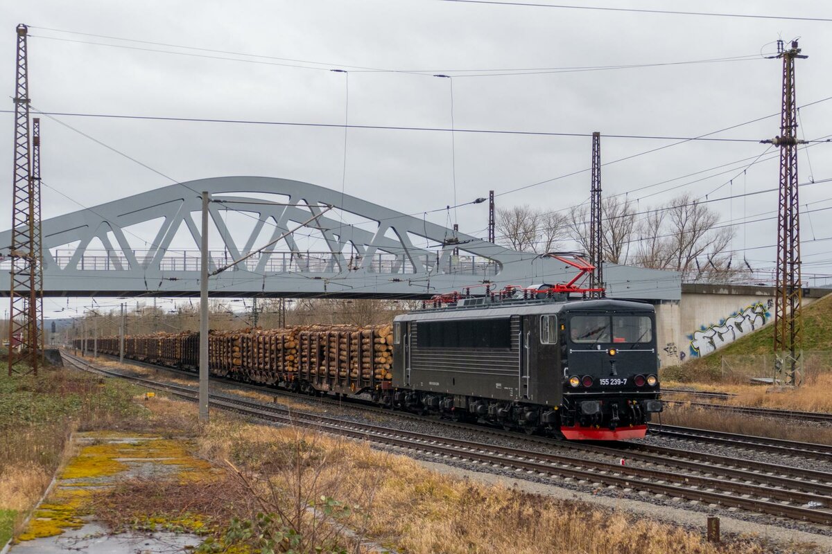 EBS 155 239-7 mit einem Holzzug von Saalfeld nach Decin, am 20.02.2022 in Naumburg Hbf. (Foto: Orlabahner)