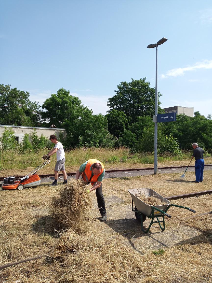 Ehrenamtlicher Arbeitseinsatz von Mitgliedern der IG Unstrutbahn e.V. am 19.06.2021 im Bahnhof Roßleben. Hierbei wurden Vorbereitungen für den  Ausflugsexpress  am 26.06.2021 geschaffen. Es gab viel zu tun: Rasen mähen, Aushänge anbringen und den Müll beseitigen. (Foto: Thomas Müller)