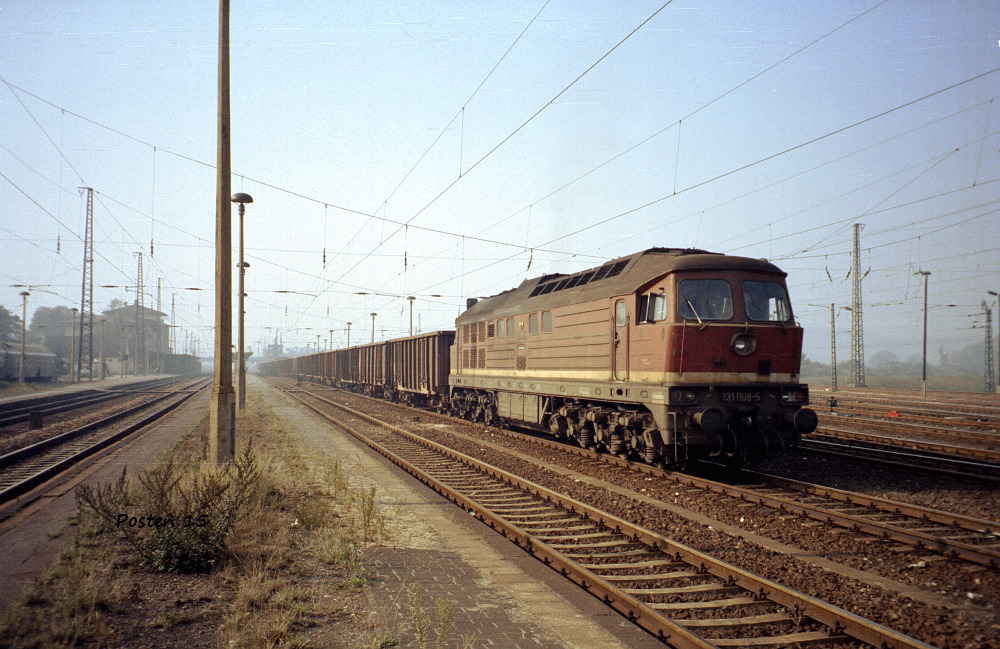 Im Oktober 1991 war die DR 131 008-5 in Naumburg Hbf mit einem Güterzug in Richtung Weißenfels unterwegs. (Foto: Jörg Berthold)