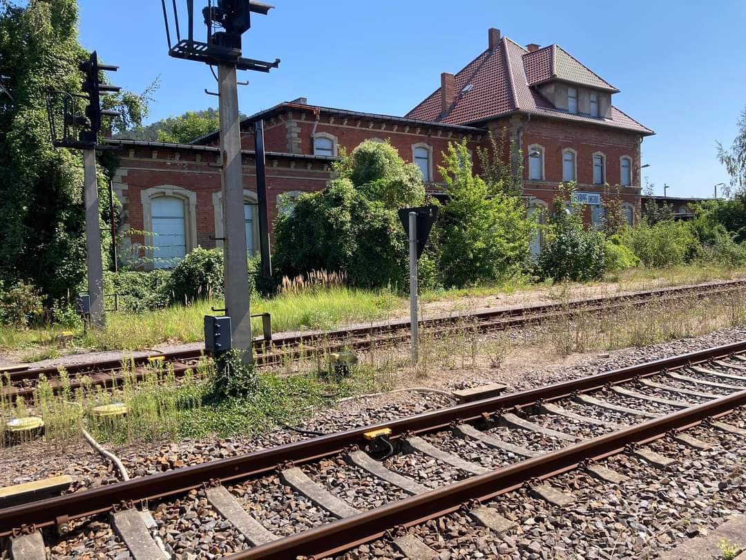 Im Schatten der Neuenburg träumt der ehemalige Bahnhof Freyburg (Unstrut) so leise vor sich hin. Total eingewachsen und dem Verfall überlassen. (Fotos vom 13.08.2024: Bodo Zorn)