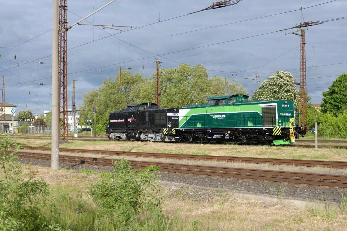 Timberrail Logistics 298 301 und EBS 202 738 rangieren am 24.05.2023 in Naumburg (S) Hbf. Danach brachten sie einen Kohlezug nach Karsdorf. (Foto: Wolfgang Krolop)
