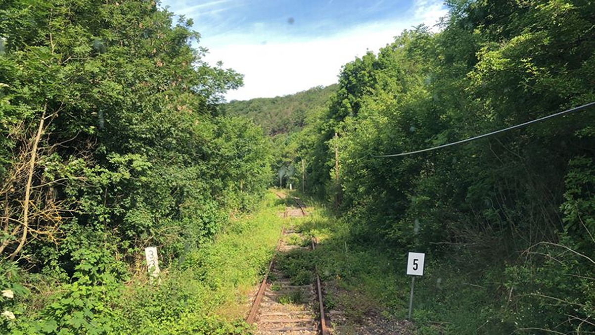 Die Unstrutbahn am 09.06.2019 zwischen Wangen (U) und Roßleben. (Foto: JKHalle Verkehrsfotografie/JKHalle Verkehrsreferent)