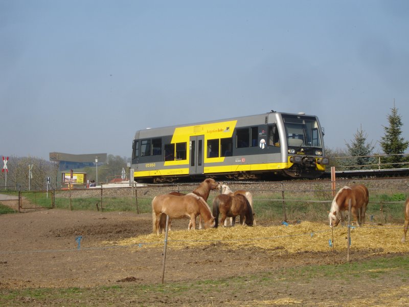 10.04.2009: Ein Triebwagen der Burgenlandbahn am neuen Haltepunkt Wangen(Unstrut). 