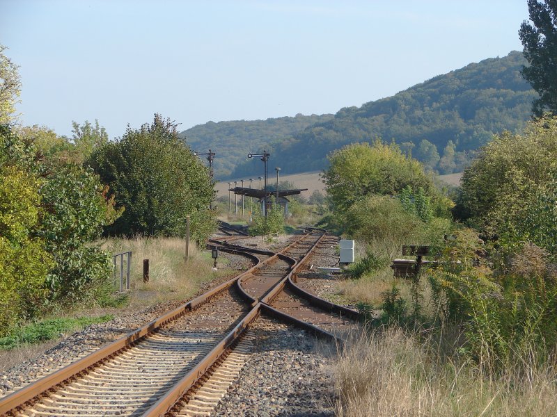 Blick aus Richtung Nebra in den Lauchaer Bahnhof. Rechts ist das zugewachsenen Gleis der Finnebahn erkennbar; 27.09.2009 (Foto: Dieter Thomas)