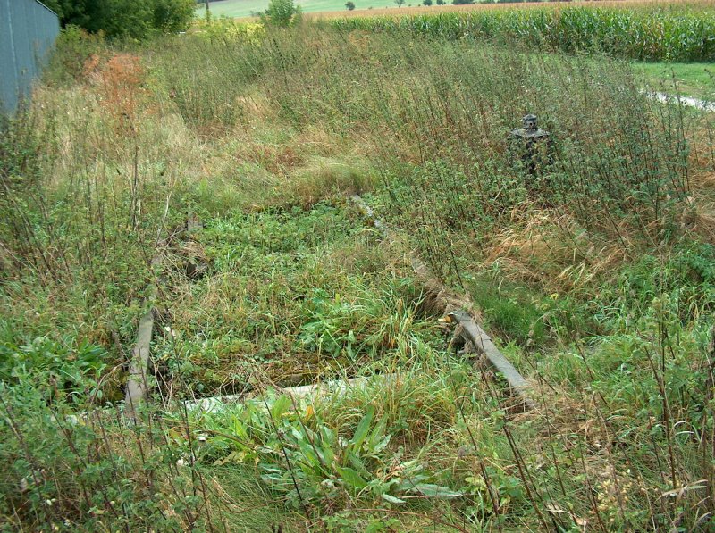 Ein Rest des ehmaligen Gleis der Finnebahn im Bf Laucha (Unstrut). Die Finnebahn zweigte früher im Bf Laucha von der Unstrutbahn ab und führte über Lossa bis nach Kölleda; 13.09.2009