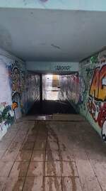 Die Fu�g�ngerunterf�hrung am Ostkopf vom Naumburger Hauptbahnhof im Bereich der Gartenanlage Gleisdreieck am 22.08.2026. Seit ca. 2 Wochen steht cm hoch Wasser im Tunnel. Die 'Verzierung' der W�nde ist schon l�nger Thema und auch die Verm�llung  wird ...