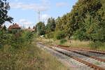 Zugewachsener Blick Richtung Nebra, am 13.09.2025 im Bahnhof Laucha (Unstrut).