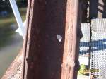 brucken-und-uberfuhrungsbauwerke/164144/ein-weiteres-einschussloch-vermutlich-aus-dem Ein weiteres Einschußloch, vermutlich aus dem 2. Weltkrieg, an einem Stahlpfeiler auf der alten Saalebrücke in Roßbach; 16.10.2011 (Foto: Hans Grau)