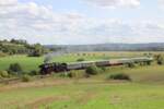 Zum Winzerfest nach Freyburg (Unstrut) kamen am 13.09.2025 die Eisenbahnfreunde vom Traditionsbahnbetriebswerk Stafurt e.V.
