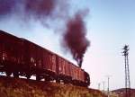 Eine unbekannte Dampflok mit einem Güterzug, am 10.05.1980 bei Lauscha.