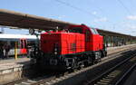 Alstom 90 80 1002 045-5 D-ALS als Tfzf Richtung Bad Kösen, am 17.07.2023 in Naumburg (S) Hbf.