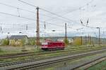 Am 07.11.2022 verlie die frisch lackierte FWK 250 195-5 Naumburg (S) Hbf in Richtung Erfurt. (Foto: Wolfgang Krolop) 