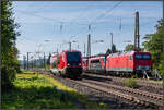 DB 641 003 als Tfzf Richtung Weißenfels, am 28.09.2023 in Naumburg (S) Hbf. (Foto: Blackender)