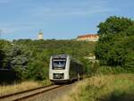 Am Abend des 07.08.2022 war der Abellio 1648 413 als RB 80570 von Naumburg (S) Ost nach Wangen (U) unterwegs und verlässt hier mit Blick auf die Neuenburg und den Dicken Wilhelm Freyburg (U).