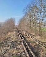 Um eine bautechnische Prüfung der Bahnbrücken für neue Eisenbahnunternehmen zwischen Roßleben und Artern zu ermöglichen, müssen die Brücken auf diesem Streckenabschnitt auch zugänglich sein. Daher haben am 09.02.2025 einige Mitglieder der IG #Unstrutbahn e.V. die Flutkanalbrücke bei Donndorf freigeschnitten. Bild: Artur K. https://www.instagram.com/info.unstrutbahn/