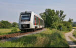 Abellio Rail Mitteldeutschland 1648 410 als RB 80564 von Naumburg Ost nach Wangen, am 16.06.2021 bei Roßbach.