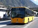 (267'286) - Coopalsa, Andorra la Vella - P6226 - Mercedes am 19. September 2024 in Andorra la Vella, Estaci Nacional Autobusos