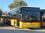 (172'799) - CarPostal Ouest - VD 495'031 - MAN am 10.