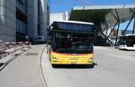 (286'329) - PostAuto Z�rich - Nr. 317/ZH 780'794/PID 10'307 - MAN am 23. April 2026 in Z�rich-Flughafen