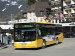 (233'242) - Grindelwaldbus, Grindelwald - Nr.