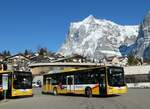 (233'303) - Grindelwaldbus, Grindelwald - Nr.