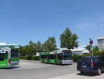 (193'565) - SVF Friedrichshafen - FN-SV 2521 - Mercedes am 26.