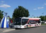 (264'514) - Regionalbus Leipzig, Deuben - L-YP 1193 - Mercedes am 9. Juli 2024 in Markkleeberg, Seepromenade