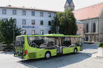 Pfeffer, Zenting - Setra am 29.