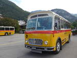 (197'688) - Frutig, Birmensdorf - ZH 560'883 - FBW/FHS (ex P 23'217) am 16.