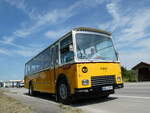 (251'023) - Hahn, Mnchen - HSK-C 59H - FBW/FHS (ex Michels, Schmallenberg; ex FRAM Drachten/NL Nr.