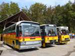 (155'495) - Buzzi, Bern - BE 910'789 - Mercedes (ex Mattli, Wassen) am 5.