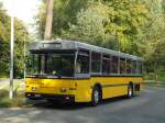 (136'236) - Wanner, Schleitheim - SH 58'045 - Saurer/Hess (ex Ruklic, Schaffhausen; ex VBSH Schaffhausen Nr.