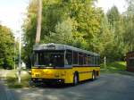 (136'237) - Wanner, Schleitheim - SH 58'045 - Saurer/Hess (ex Ruklic, Schaffhausen; ex VBSH Schaffhausen Nr.