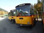 (142'045) - Kammermann, Spiez - BE 650'996 - Saurer/Hess (ex Flury, Balm; ex P 24'233) am 21.