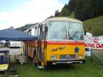 (146'380) - Ghwiler, Birmensdorf - ZH 311'638 - Saurer/Tscher (ex AVG Grindelwald Nr.