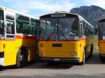 (155'661) - Kammermann, Spiez - BE 650'996 - Saurer/Hess (ex Flury, Balm; ex P 24'233) am 12.